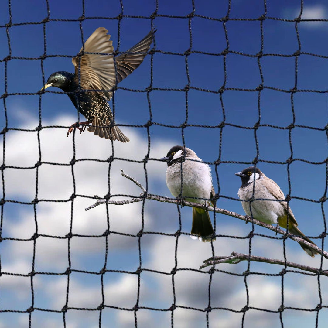 Square Knotted Bird Netting 19mm (¾")