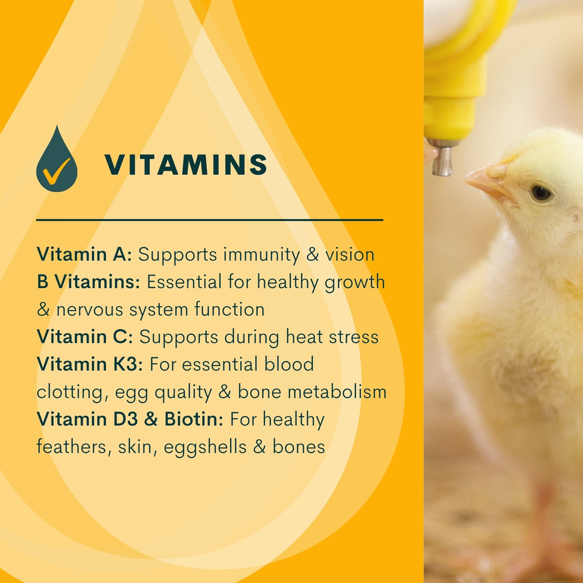 Quill Vit Extra | 1L, 5L & 20L