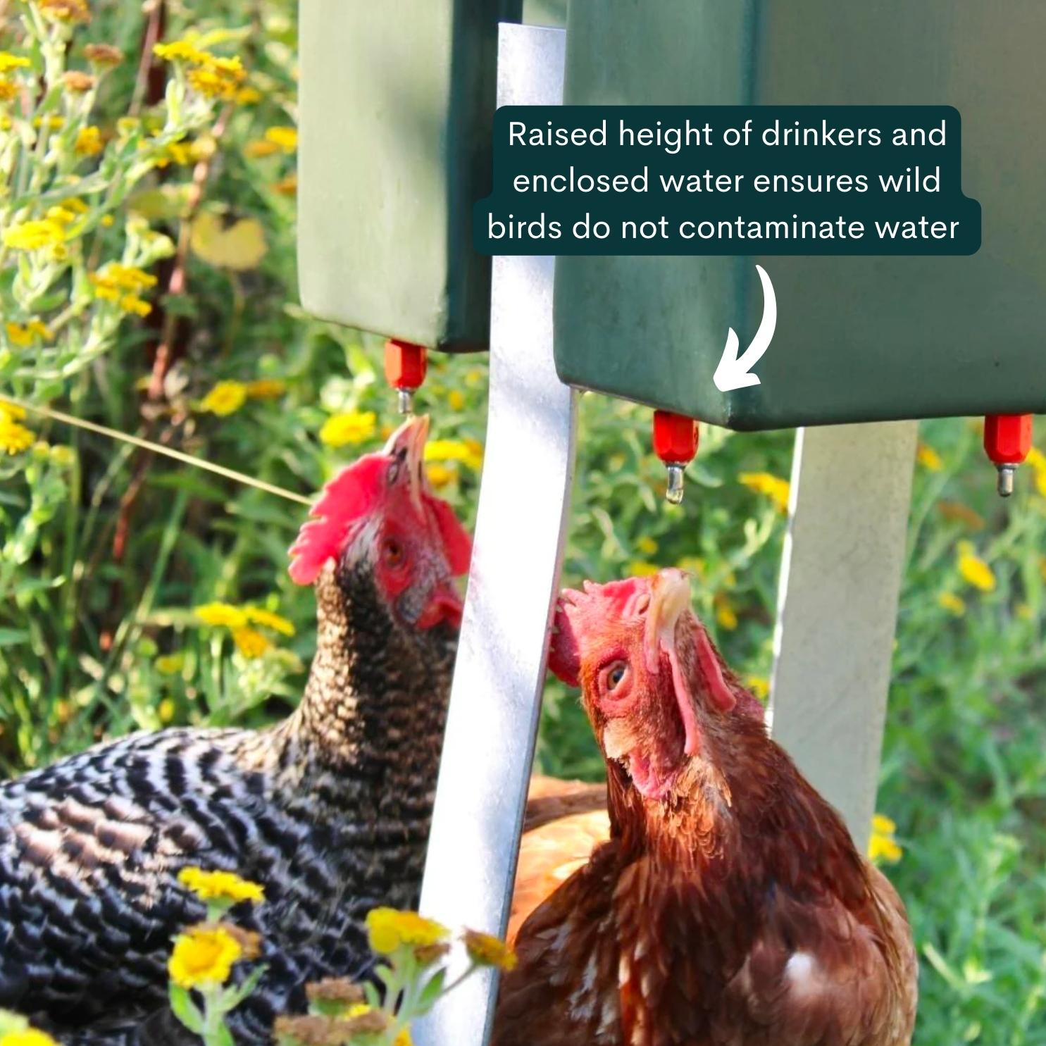 Quill 40L Tank Drinker