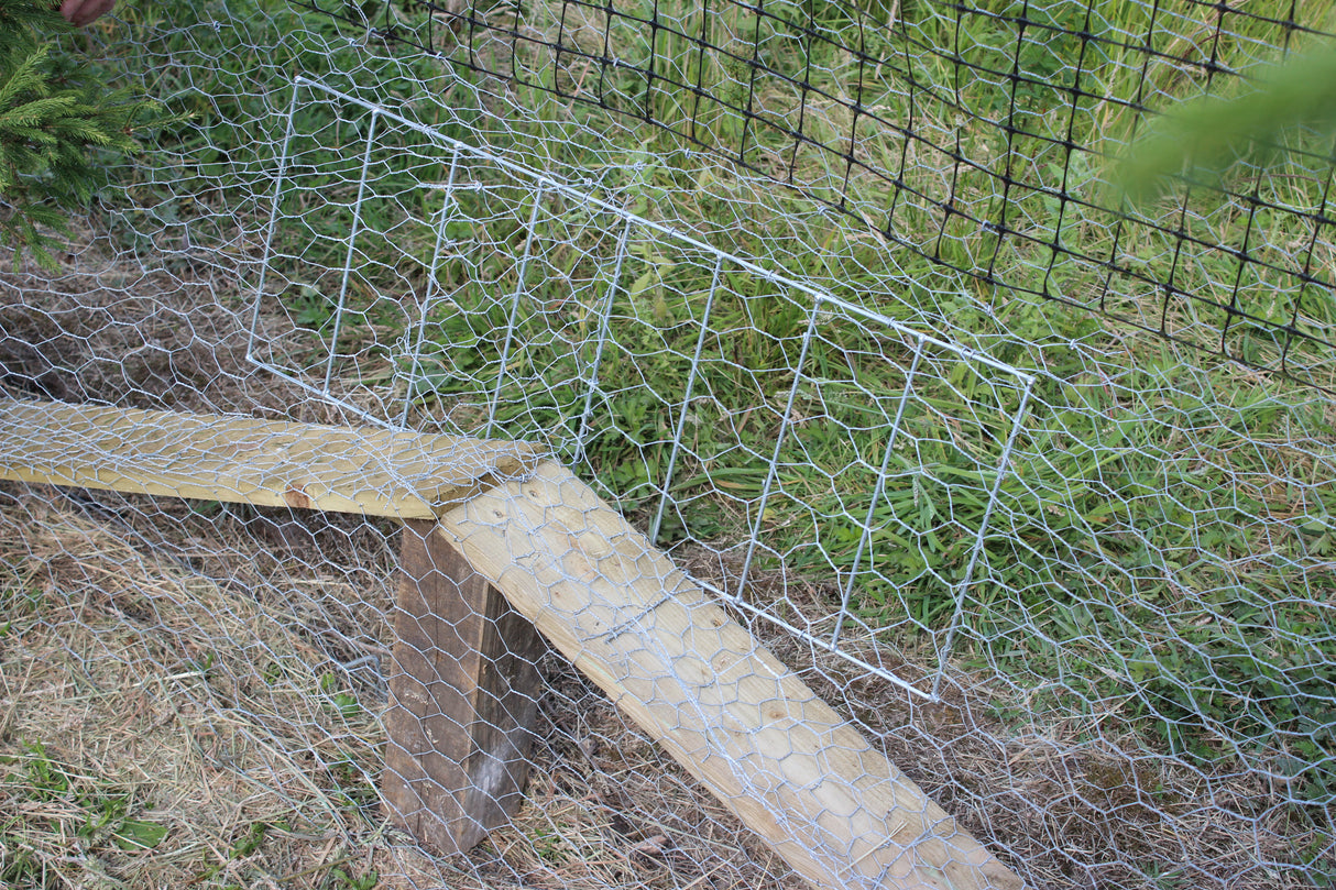 Fox Grid Pheasant Pop Hole