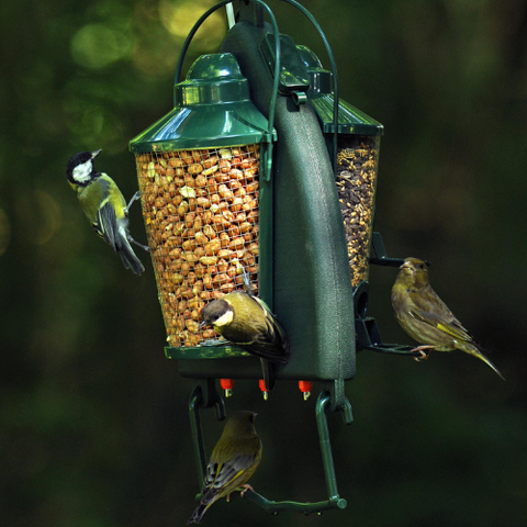 A unique feeding and drinking system to provide birds with clean water, seeds and nuts. Garden birds carry many potentially fatal diseases which are often transmitted by drinking contaminated water. Even if bird baths are disinfected on a daily basis it is inevitable that birds will mess and regurgitate saliva into the water, passing on infection to other birds.