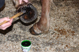 thrush treatment for horses, mudfever treatment, hoof treatment for horses, hoof hygiene gel