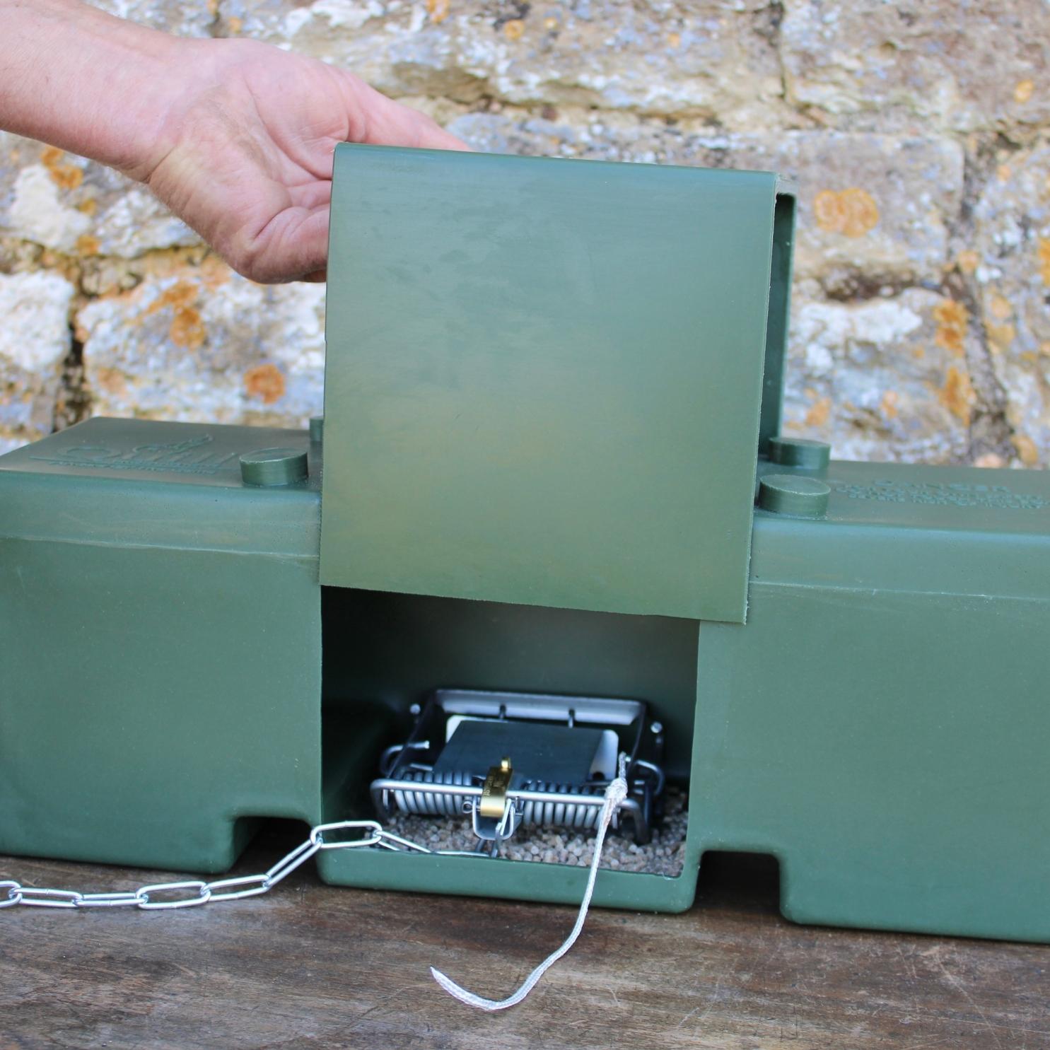 Genuine MK4 Fenn Spring Trap for Rats, Squirrels, Stoats and Weasels ...