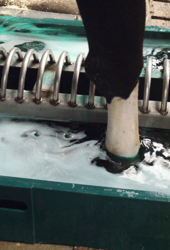 Intra Hoof-fit Bath Liquid, Hoof & Skin Care, Quill Productions