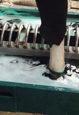 Intra Hoof-fit Bath Liquid, Hoof & Skin Care, Quill Productions