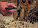 using green copper foot gel, brush on foot gel for hairy foot wart